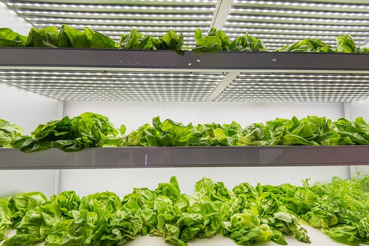 Avoid All the Politics with High-Quality, American-Made GrowFloor and GrowWall