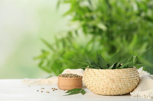 How to Create a Perpetual Harvest for Cannabis