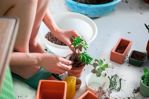 Relieve Some Stress and Take Advantage of National Garden Week June 7-13th!