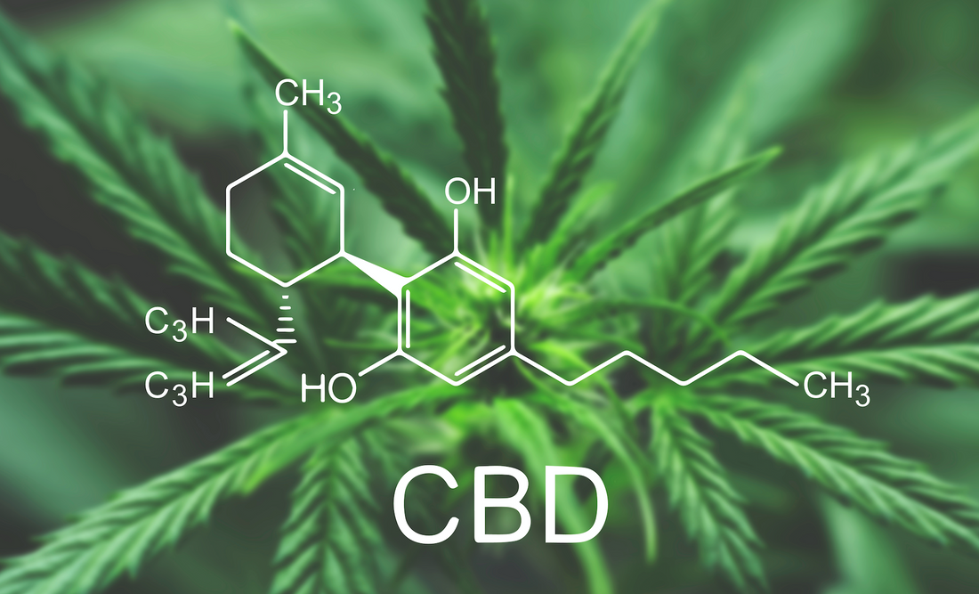 4 Ways to Promote the Cannabis Industry on National CBD Day 8/8